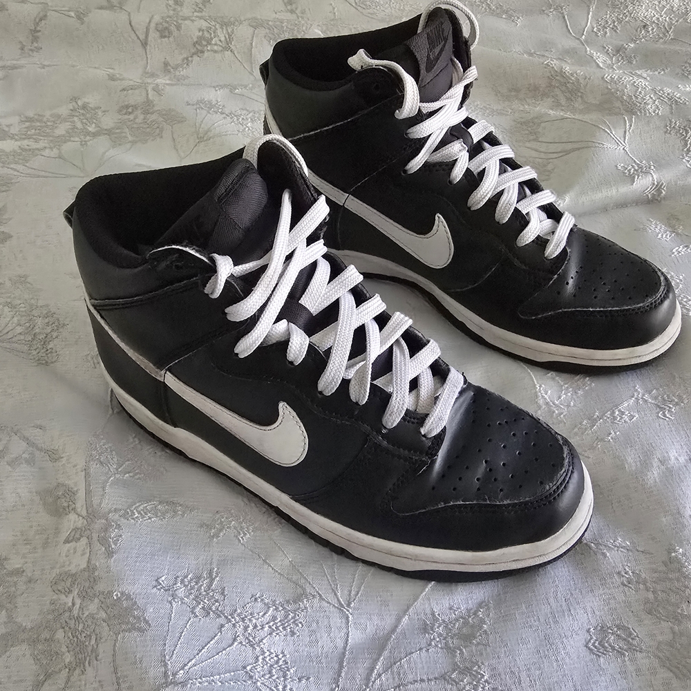 Nike Dunk High